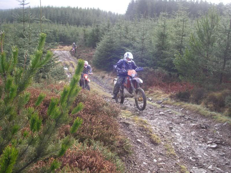 few pics from pembrokes ride today 024