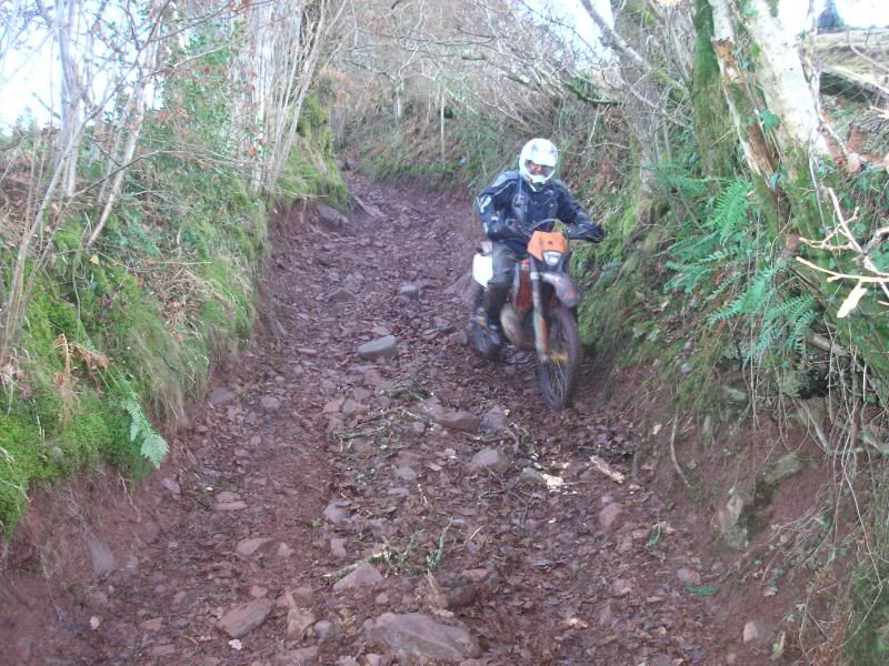 few pics from pembrokes ride today 062