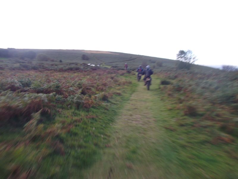 Saturdays ride with brownie Newton abbot  045