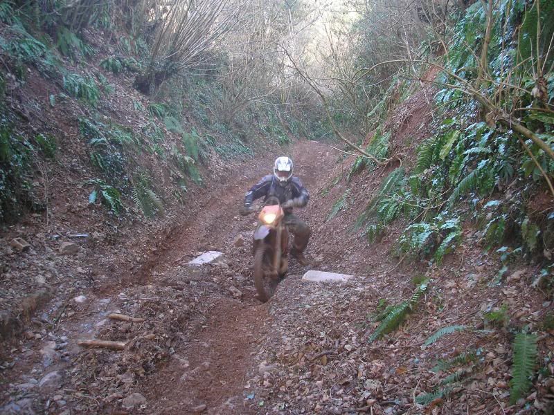 Devon ride pics P1080131