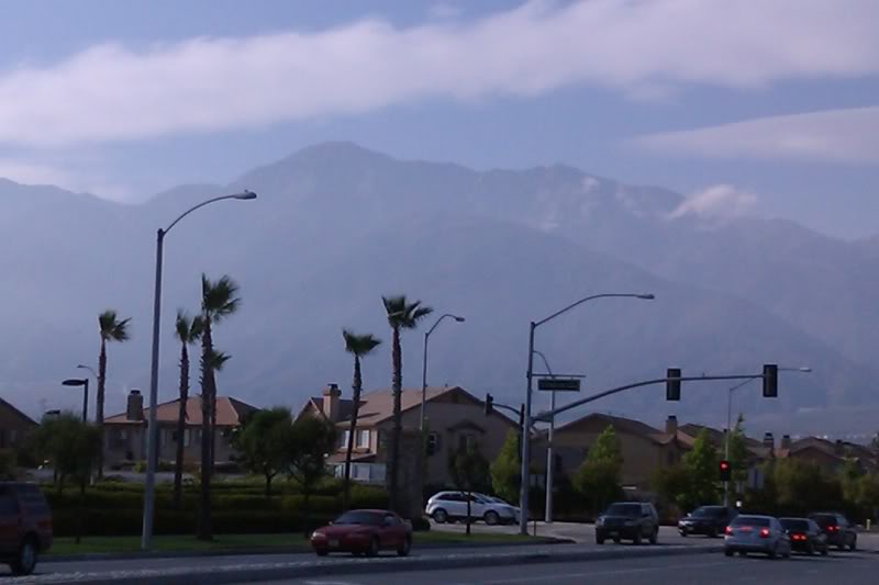 Mountain Baldy Report IMAG0153