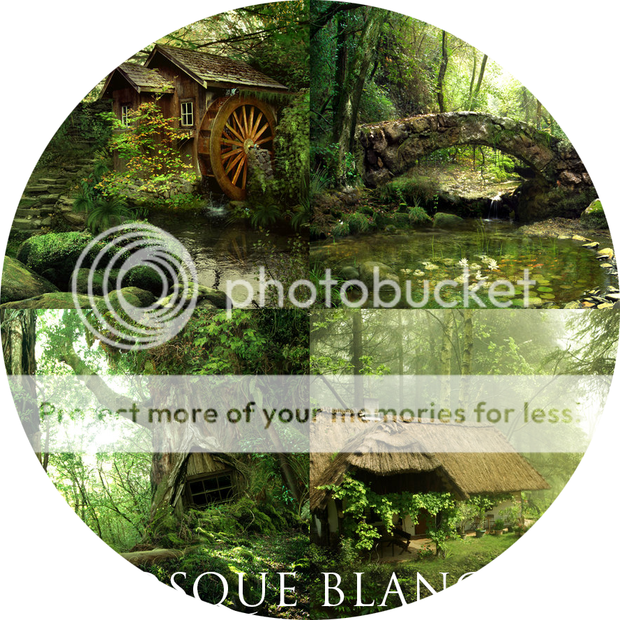 Bosque Blanco  Blanco_zps6a6b3345