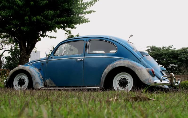 Fusca 59 Rat IMG_1966-2