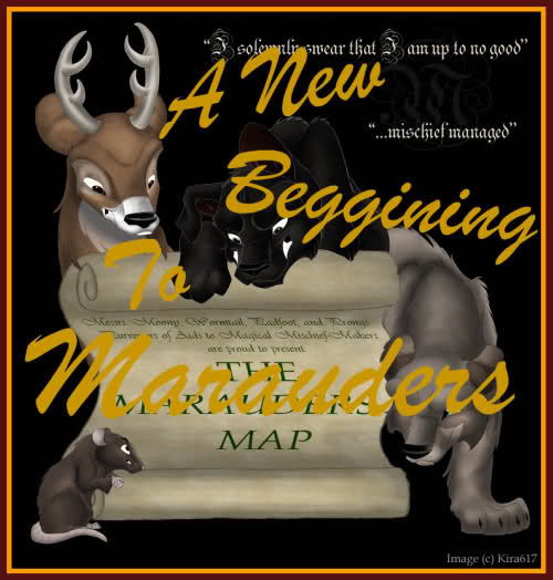 A New Beggining To Marauders 