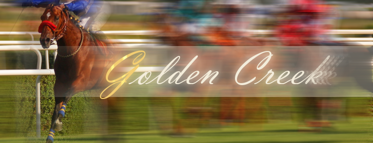 Golden Creek Stables