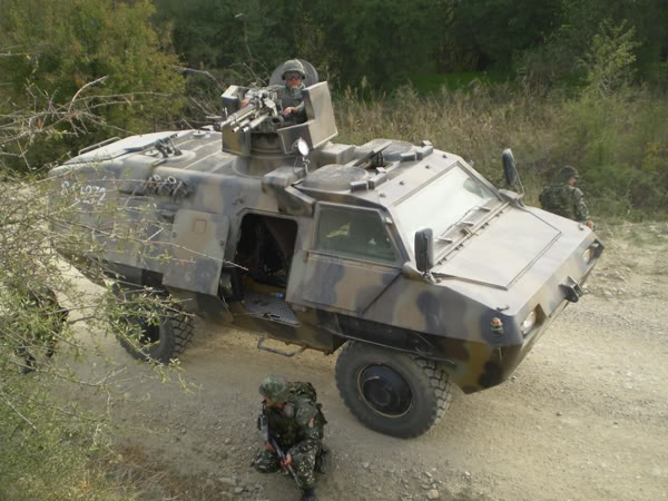 Тенкови и оклопни возила во состав на АРМ Hermelin3