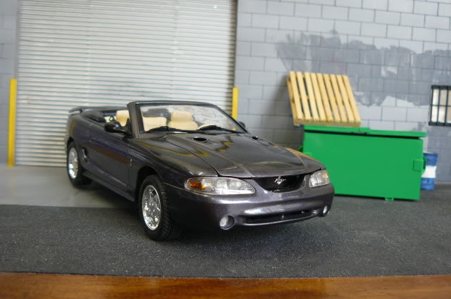 '96 Cobra Mustang P1040939