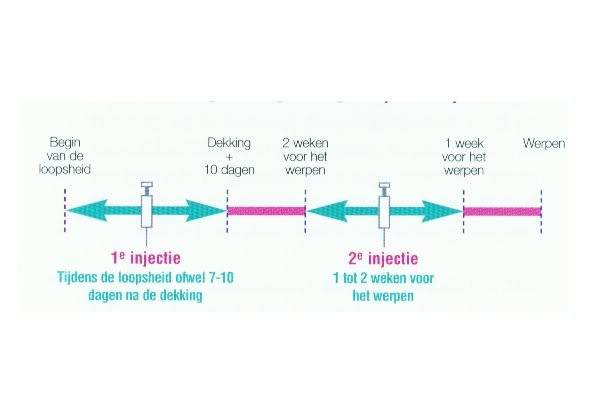 [b]Herpes, help!![/b] Herpesschema2