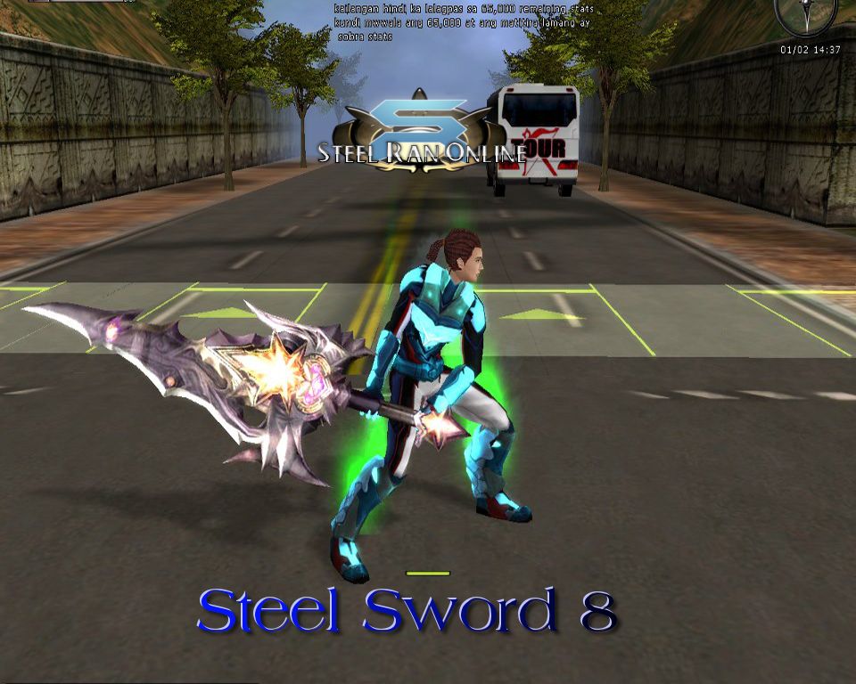 Steel Swords Sw8_zps438b8b42