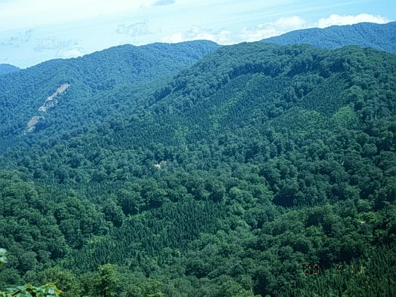 [Du lịch] Di sản văn hoá UNESCO ở nhật ShirakamiPhoto01