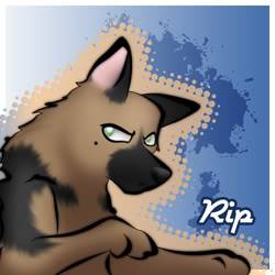 Personal Avatars - Page 3 Rip_avatar_rip