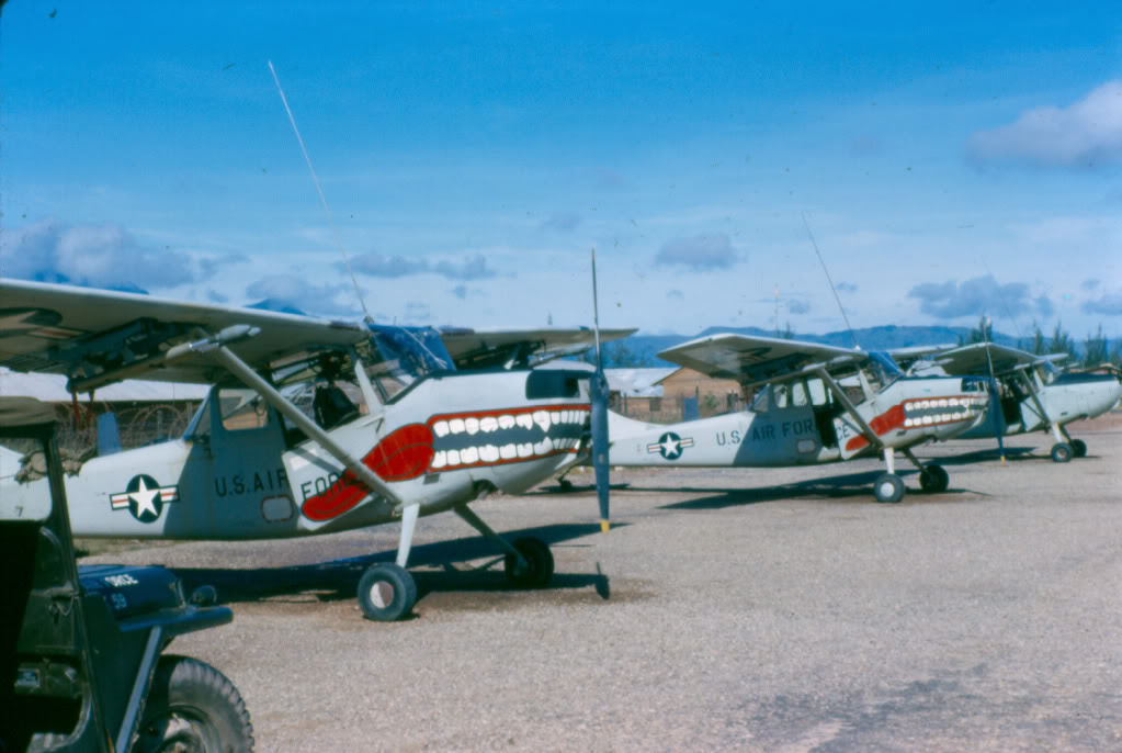 NAM IMAGES VN0100566QuangNgaiBirddogs