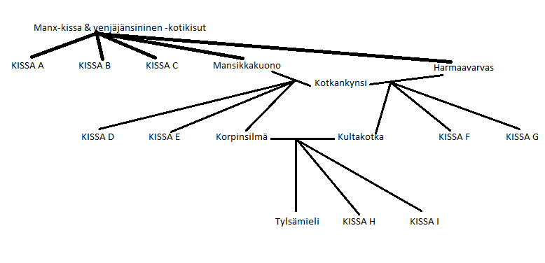 Hahmoilleni sukulaisia? Sukupuu_zpsqvpoweu1