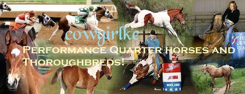 STALLIONS GALORE-cowgirlke performance horses Prefrmance