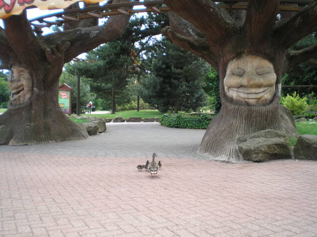 [P] 17.06.2007 : Alton Towers P6170022