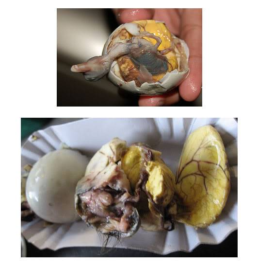 Comidas que eu aposto que você não comeria (Leia e vumite) Balut