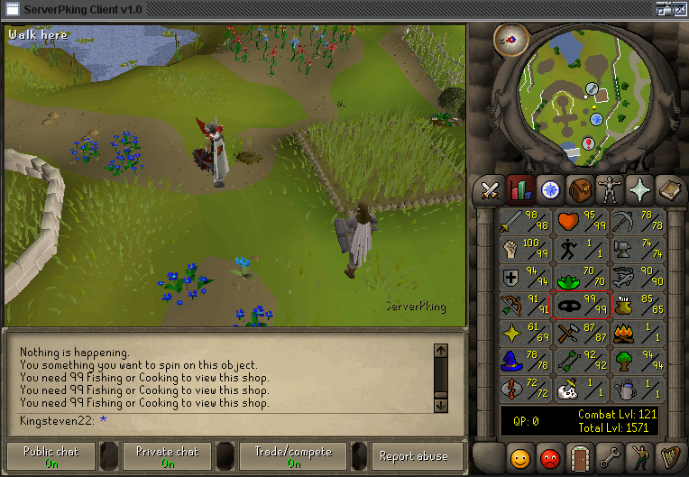 Masters of Skills! 99thiev