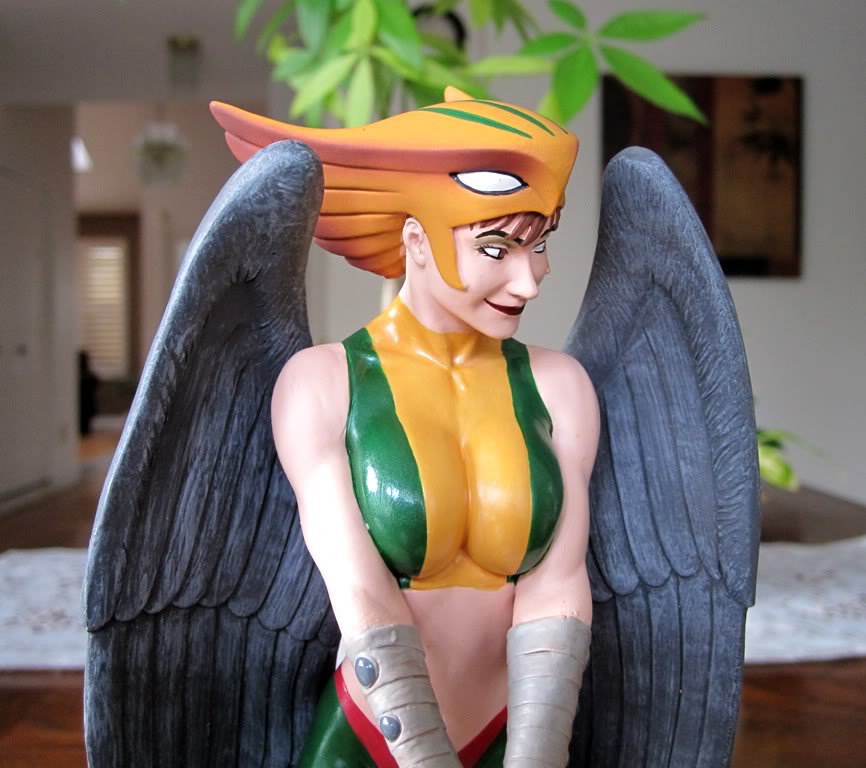 COVER GIRL OF THE DC UNIVERSE : HAWKGIRL Hg8