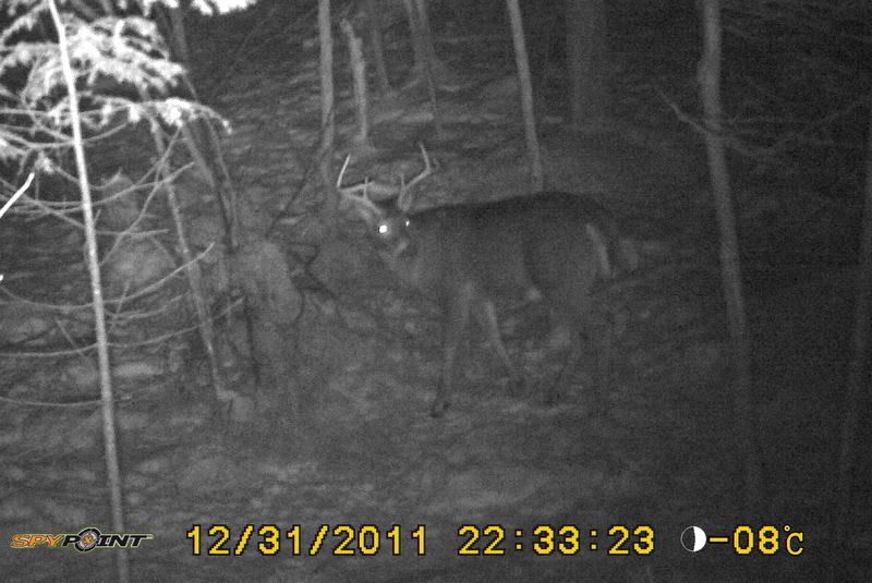 Quelques photos de la première journée de chasse PICT0068