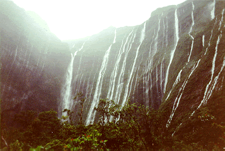 Aqui llueve 350 dias al año Cratrwet