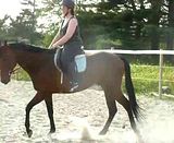Beautiful Mare For Sale - video added Th_Prom2010004-1