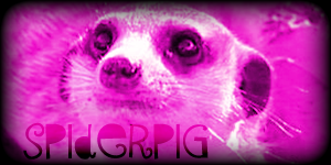 Siggy Project Spiderpig