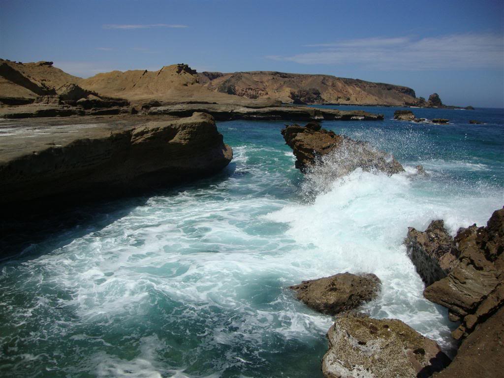 Ponta Negra - Provincia do Namibe - Página 3 DSC01485Medium