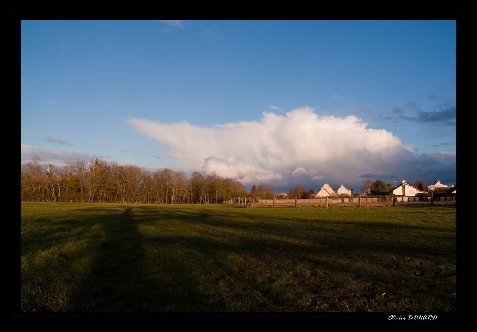 Une fin février agitée... - Page 3 20100228-03-00599