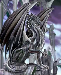 Ryoushi Hanshou BlackDragonWhiteDragon-1