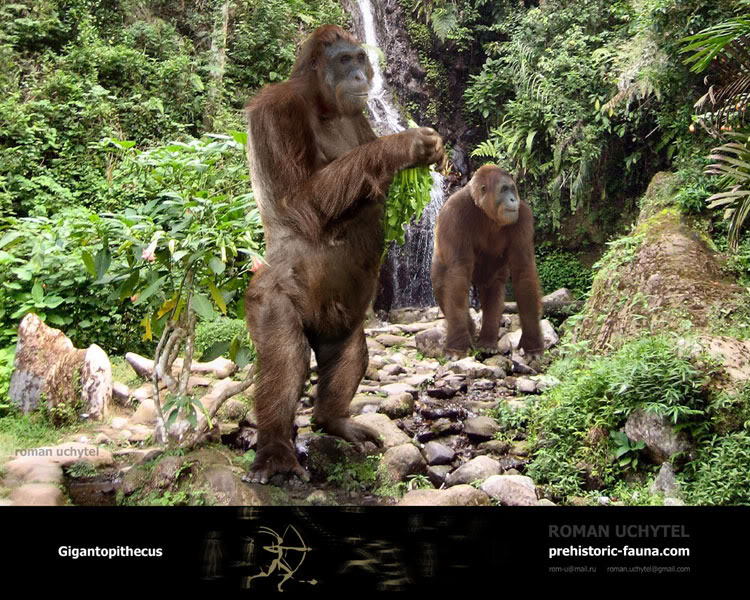 Prehistoric Kingdom - Página 2 Gigantopithecus