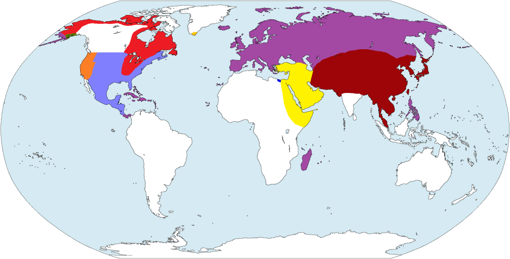 Map of MT/PMT Planet MT-PMTMapV4_2