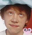 MyGraphics 350-rupert-grintcopy