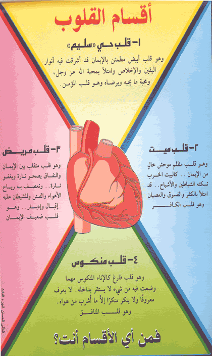 اقسام القلوب Glp-k