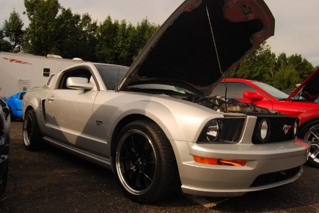 Shelby Sunday Car Show Pics!!! DSC_0067-3