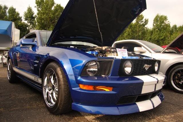 Shelby Sunday Car Show Pics!!! DSC_0068-4