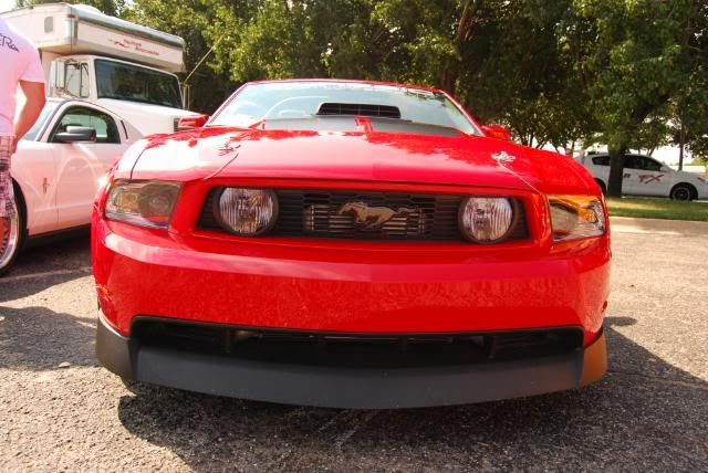 2010 Mustang (Its growing on me) PICS!! DSC_0235-1