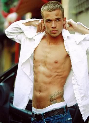 Matt Stewart Cam-gigandet-20090207-490843