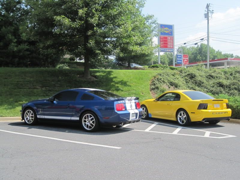 FS: 2004 SVT Cobra w/ 11k miles IMG_0661-1