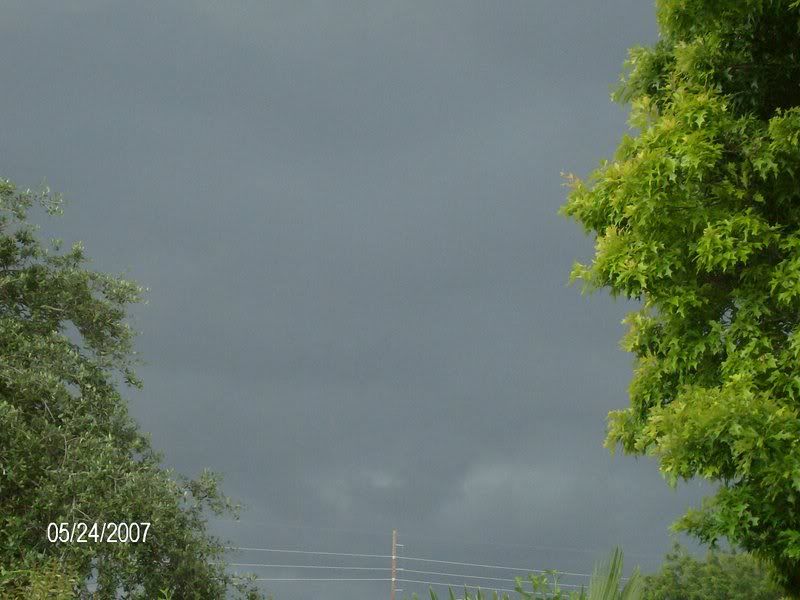 More TX weather w/pics, 7C's did it get you? HPIM1563