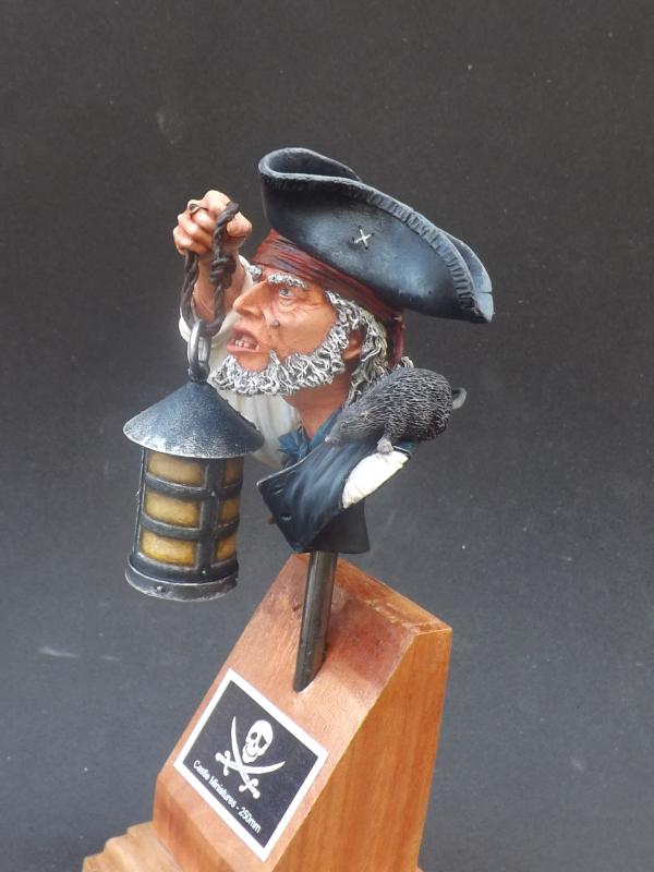 Busto Pirata Castle Miniatures - 250mm 008_zpsfmuqzs5h