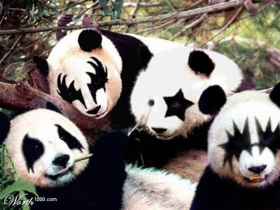 Images en vrac 02_09_KISS_panda