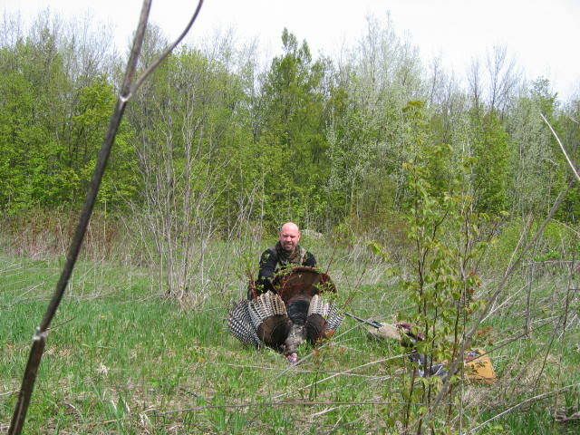 Chasse chevreuil et loups 2008 en compagnie de Louis Gagnon - Page 2 DindonsDArcy2008009