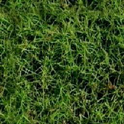 Textures for Groundtiles Grass2m