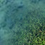 Some Transitional Tiles Waterlightgrass_2