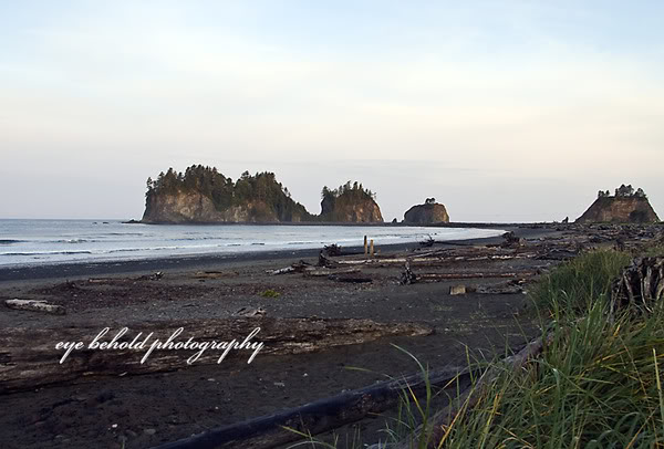 Quileute Nation sets Policies on Taping and Pictures Savingtherez