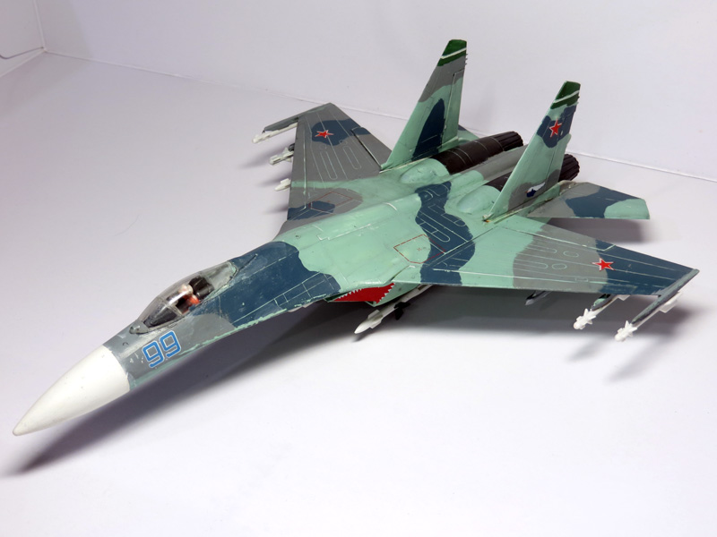 Su-27 Flanker  IMG_1752