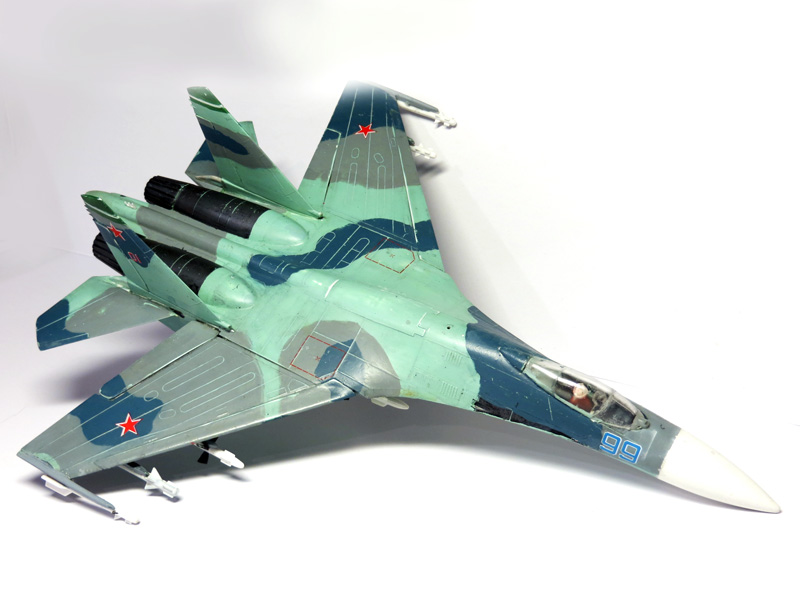 Su-27 Flanker  IMG_1753