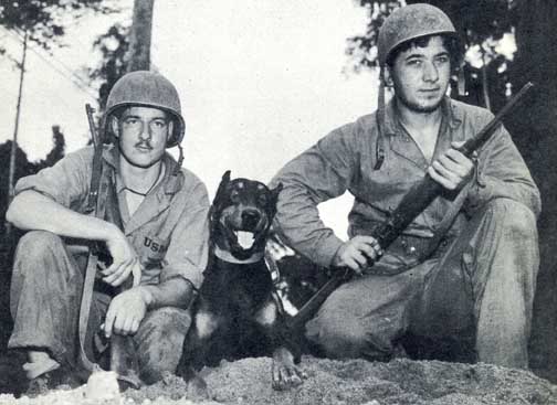 USMC  K9 "Mike and Dina" pacific war 12-7