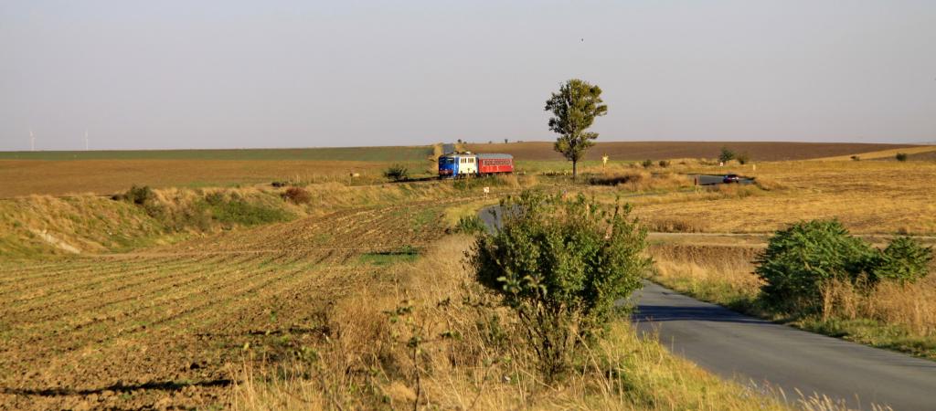 Dobrogea IMG_4667_zps11664b25