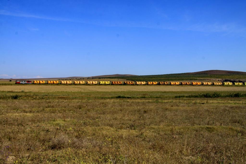 Dobrogea IMG_5397_zpsd8118d3a